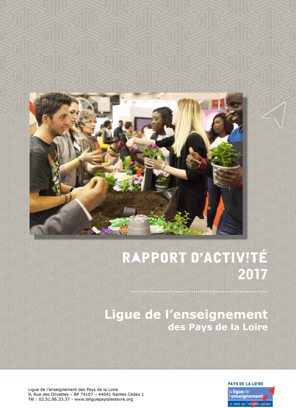 rapport activite LPdL 2017